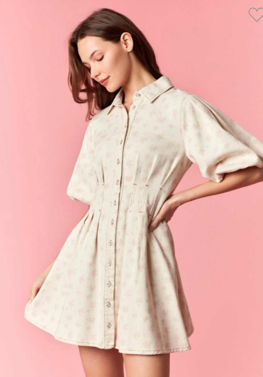 Love Shack Floral Denim Dress